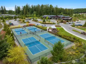 Pickleball!