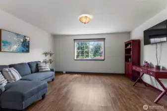Lower level family room has lots of options for use.