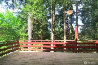 View from Deck