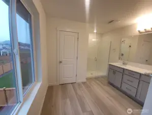 Primary bathroom