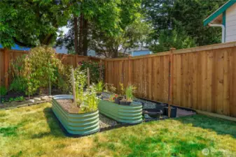 Raised garden beds!