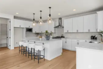 Presale, photos of similar home, colors & finishes may vary.