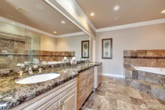 Primary suite bathroom