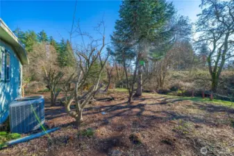 Large backyard offering room for gardening or relaxing outdoors, plus the added comfort of a heat pump for efficient year-round heating and cooling.