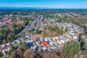 Aerial view highlighting the established 55+ community and its convenient location near shopping, dining, medical services, and transit.