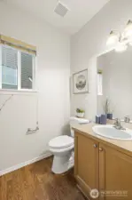 downstairs powder rm