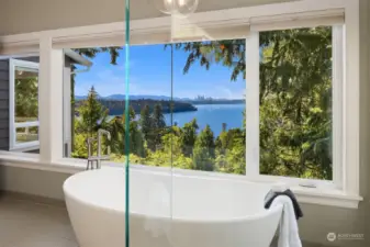 You can even enjoy the view from your bathtub!