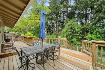 Large deck runs full length of home.