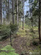 Property Gate Line