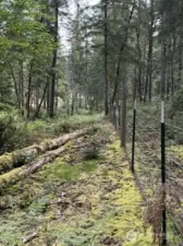 Property Gate Line