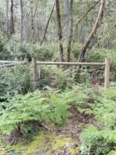 Property Gate Line