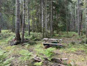 Picnic Area