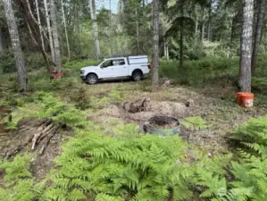 Picnic Area