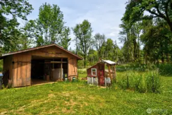 Critter Barn and goat pen
