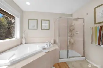 Soaking tub and shower