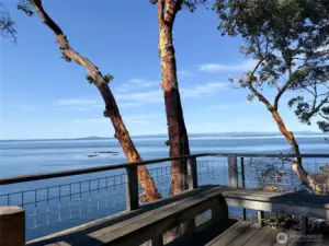 Stunning views of whales, sunset & mountains!