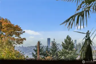 Enjoy peekaboo views of Lake Washington, the Seattle skyline, and the mountains from your private outdoor space.