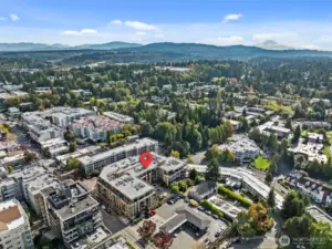 Modern luxury meets urban convenience in the heart of Bellevue’s most desirable neighborhood.