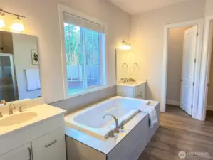 Primary bathroom with shower, double sinks and soaking tub.