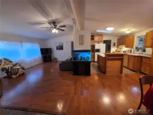 looking out from hall