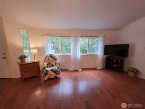 view of trees from living room windows