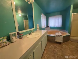 primary bath, lots of counter space