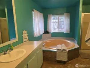 primary bath looking out to back yard