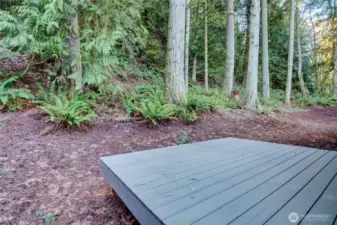 Level rear yard area.  Would be a nice fenced area.