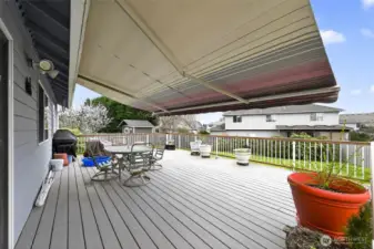 Exterior - Back Patio 2