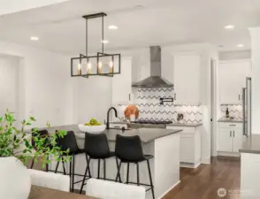 Spacious pantry in the back of the kitchen