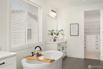 Primary bathroom and spacious dual closet