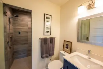 The lower level guest suite offers a spa-like bathroom with a steam shower.