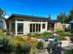 The garden at the height of summer.