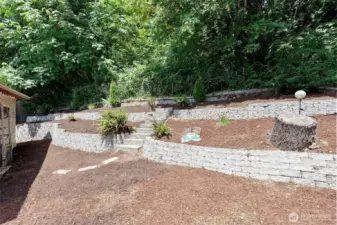 Back yard