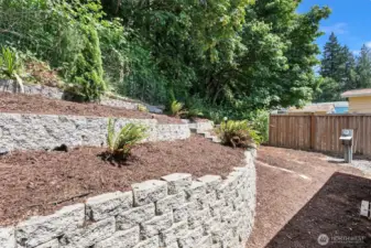Back yard