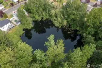 Bird’s-eye bliss. Take in the full expanse of your peaceful private pond—your own slice of waterfront paradise, minus the boat launch.