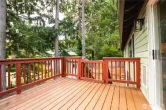 Main level deck with two stairs. Right side stairs has a door.