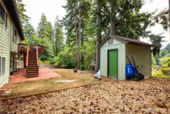 Shed