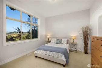 Lower level bedroom #4