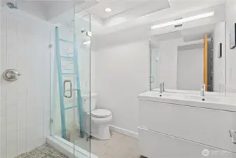 Lower level bathroom