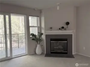 Gas fireplace