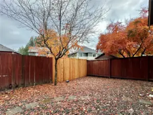 Fenced backyard with covered patio
