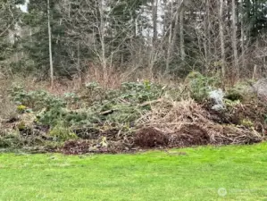 Green debris dump area