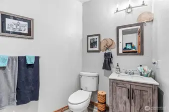 downstairs bathroom 1