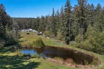 Peaceful pond