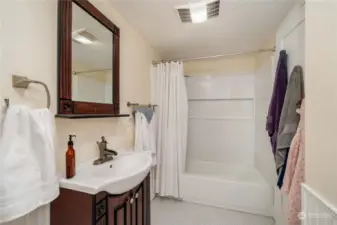 Lower Level Full Bathroom