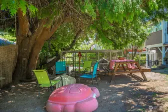 Shady picnic area