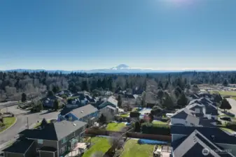 Mt Rainier in all her glory!