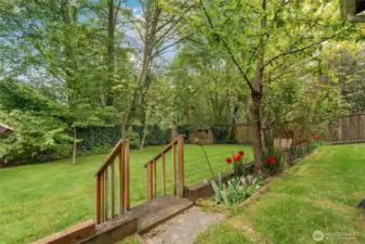 Backyard steps down