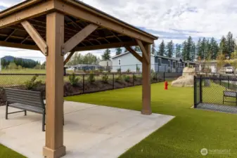 Dog park